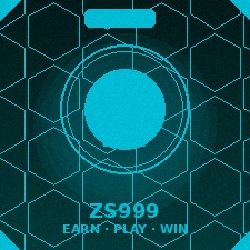 ZS999